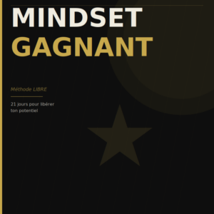 guide perfectionnisme méthode LIBRE mindset gagnant
