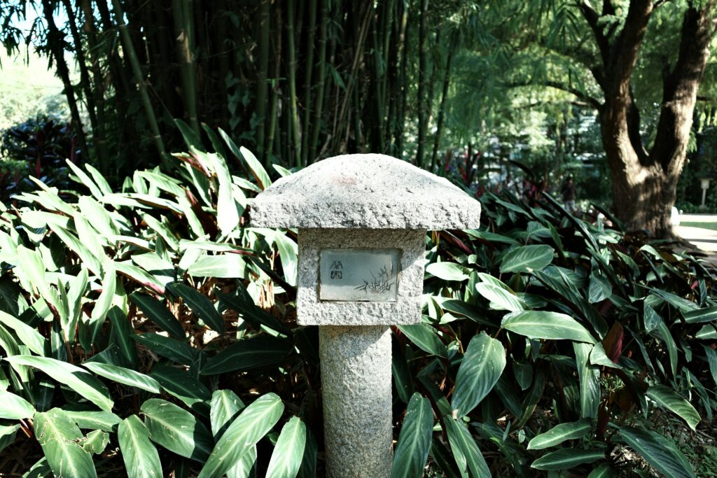 Gestion du stress : 7 techniques validées par la science pour retrouver ton calme — Ulysse Academy